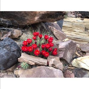 Meet your Posher, Karen